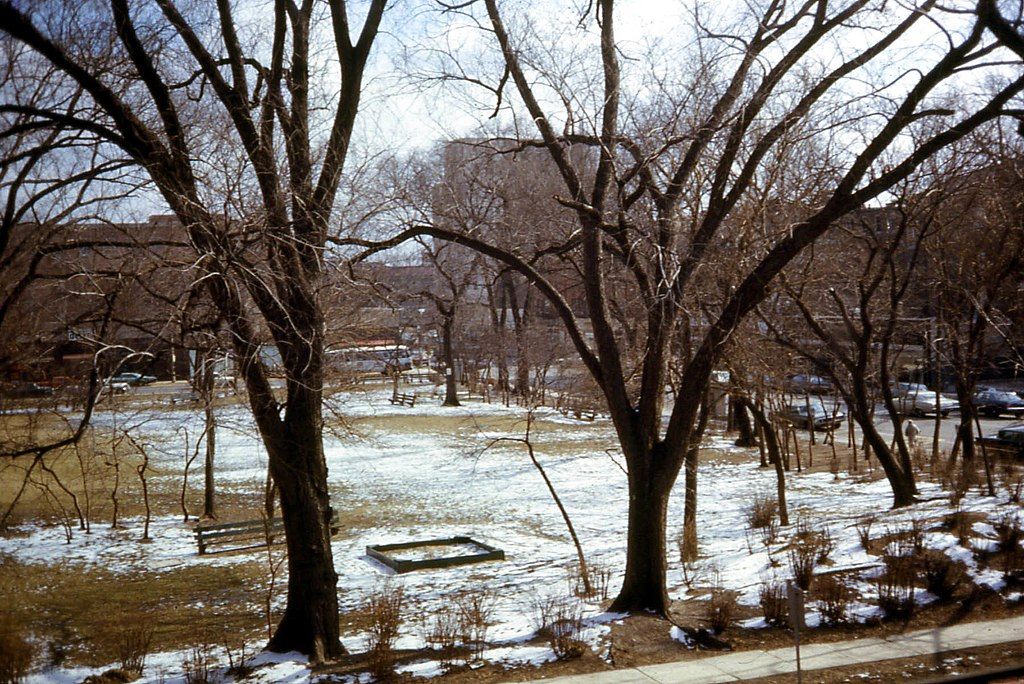 View at Scoville Park