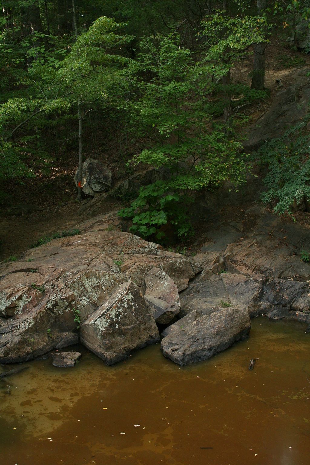 View of Cedarock Park
