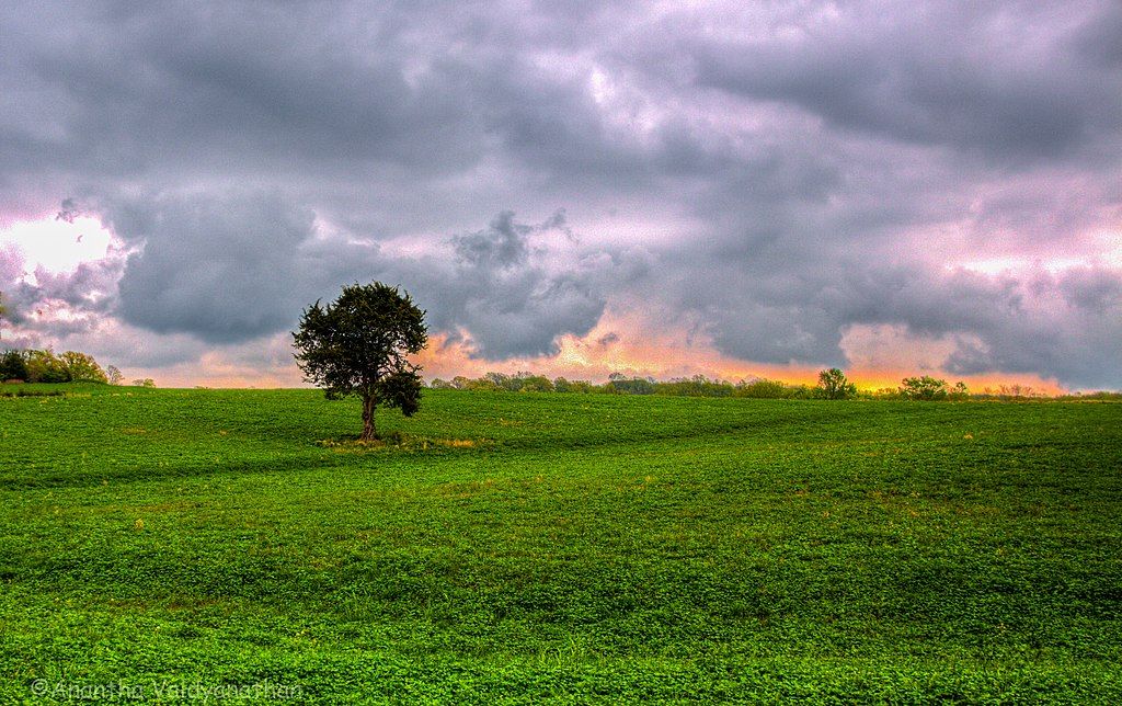 The grounds of August A. Busch Memorial Conservation Area