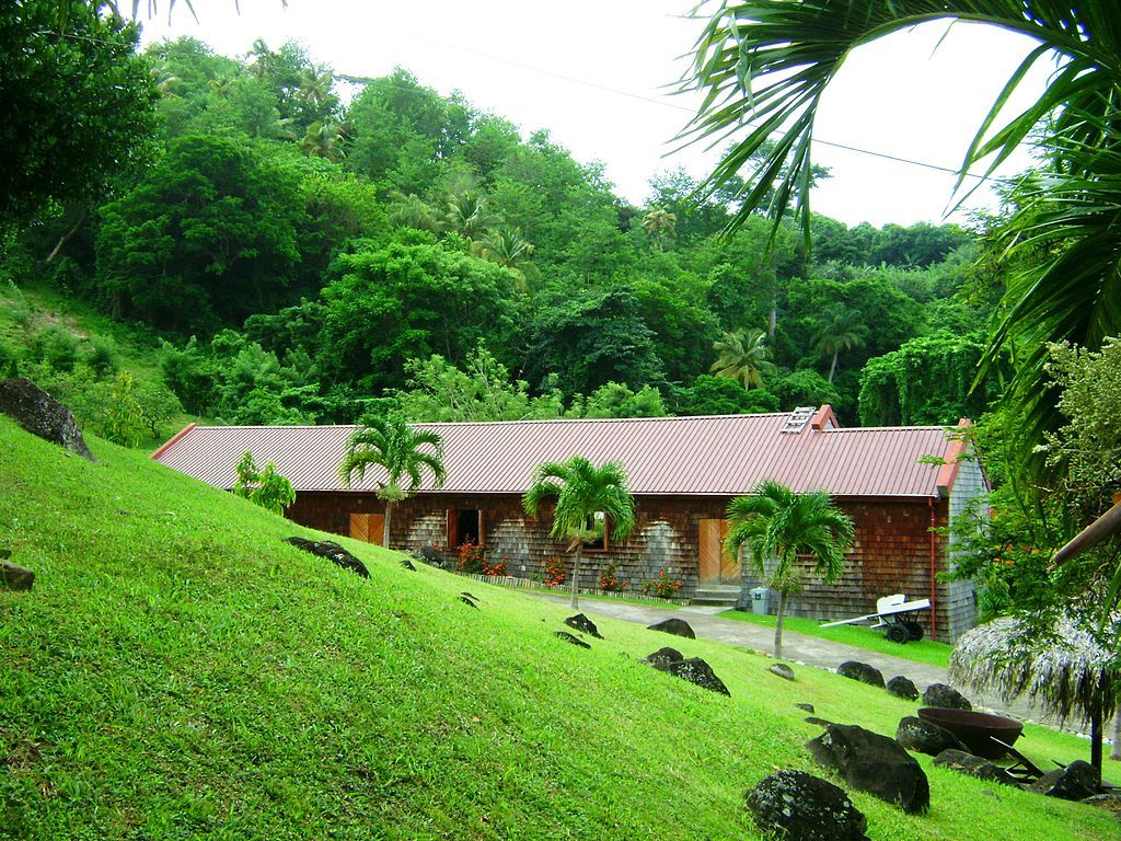 View of Belmont Estate