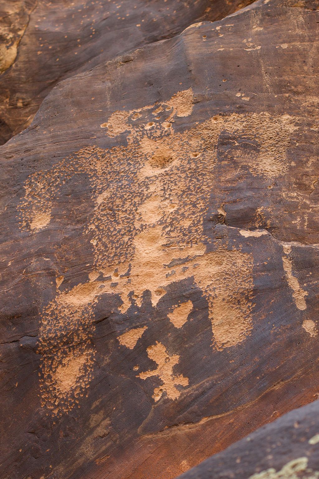 Petroglyphs at Rock Art Ranch 