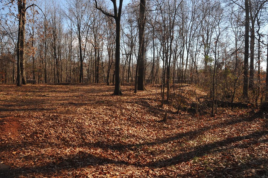 View of Cannon Branch Fort