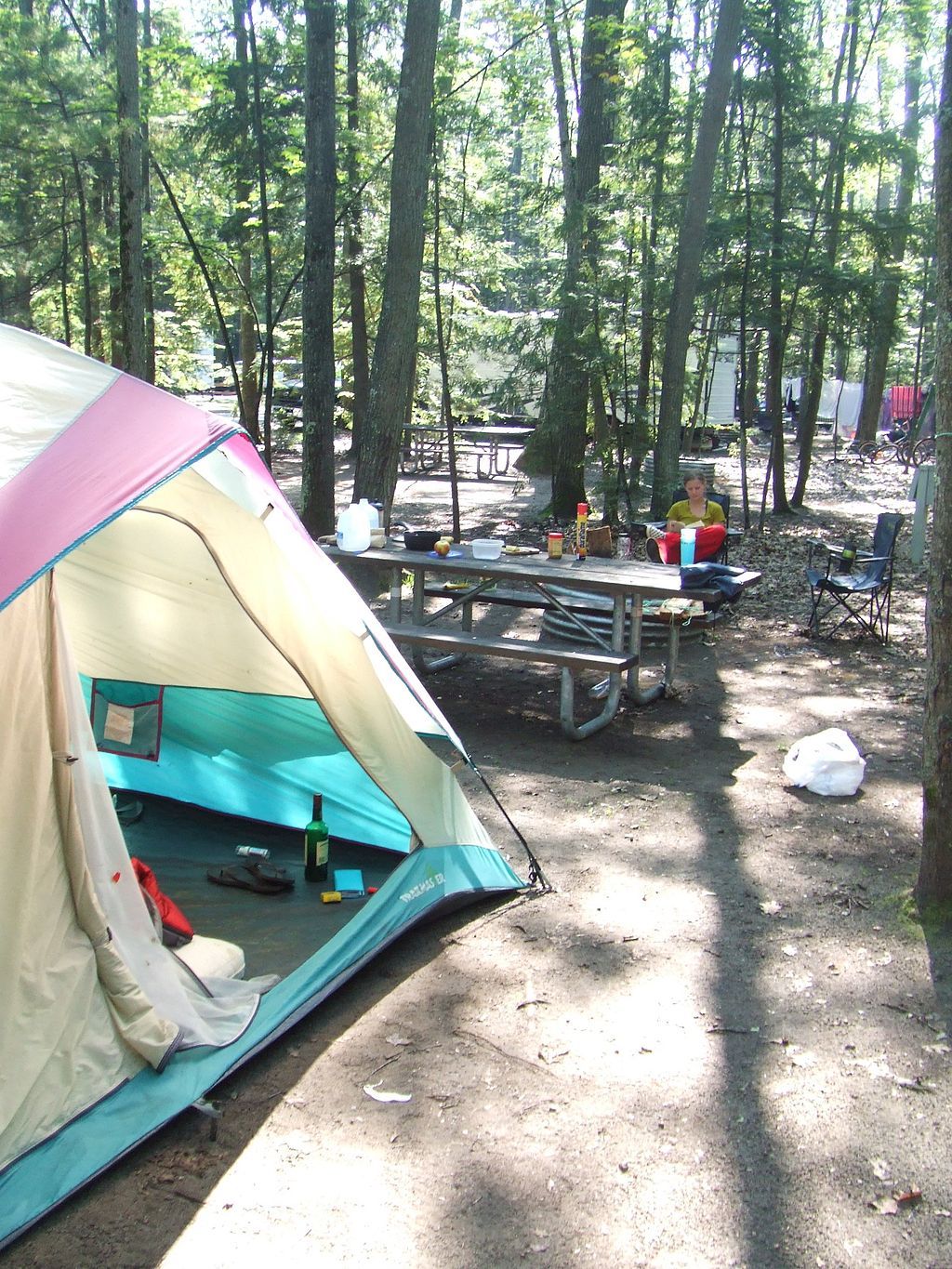 Old-Growth Forests at Interlochen State Park