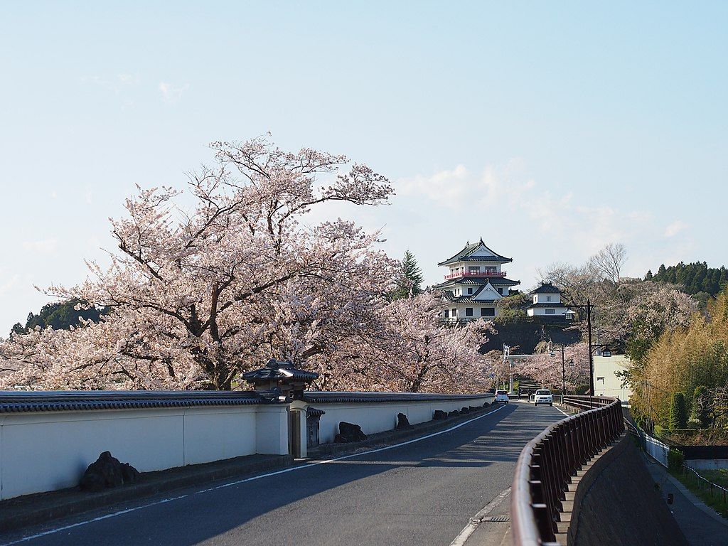 Chery Blossoms in Shiroyama Park