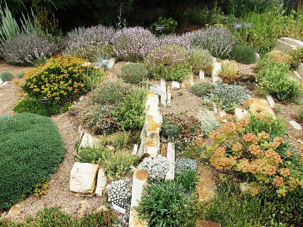 View of Denver Botanic Gardens