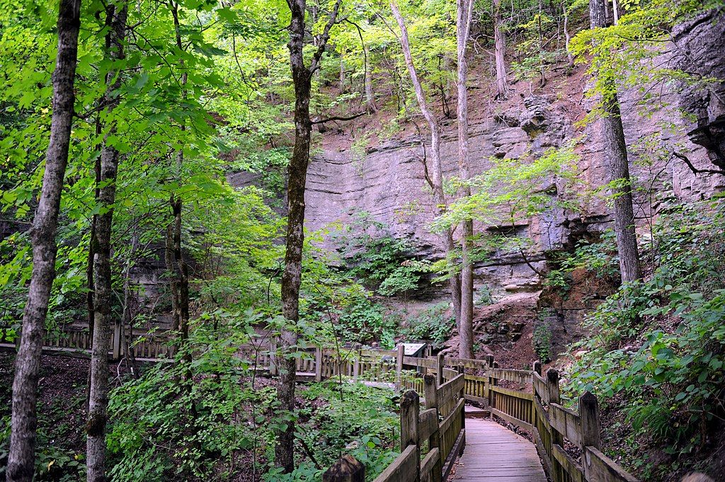 View of Deer Leap Trail