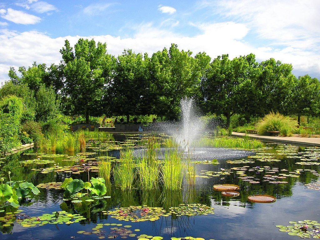 View of Denver Botanic Gardens