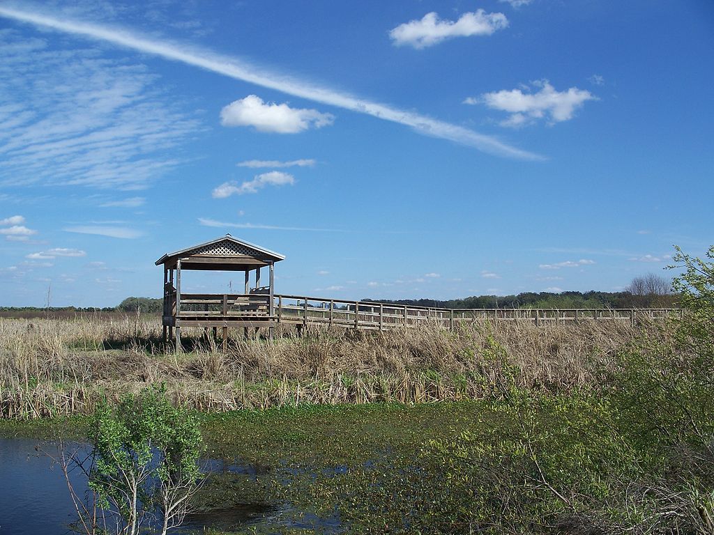 Walkway and a cottage to get a closer look of the wildlife.