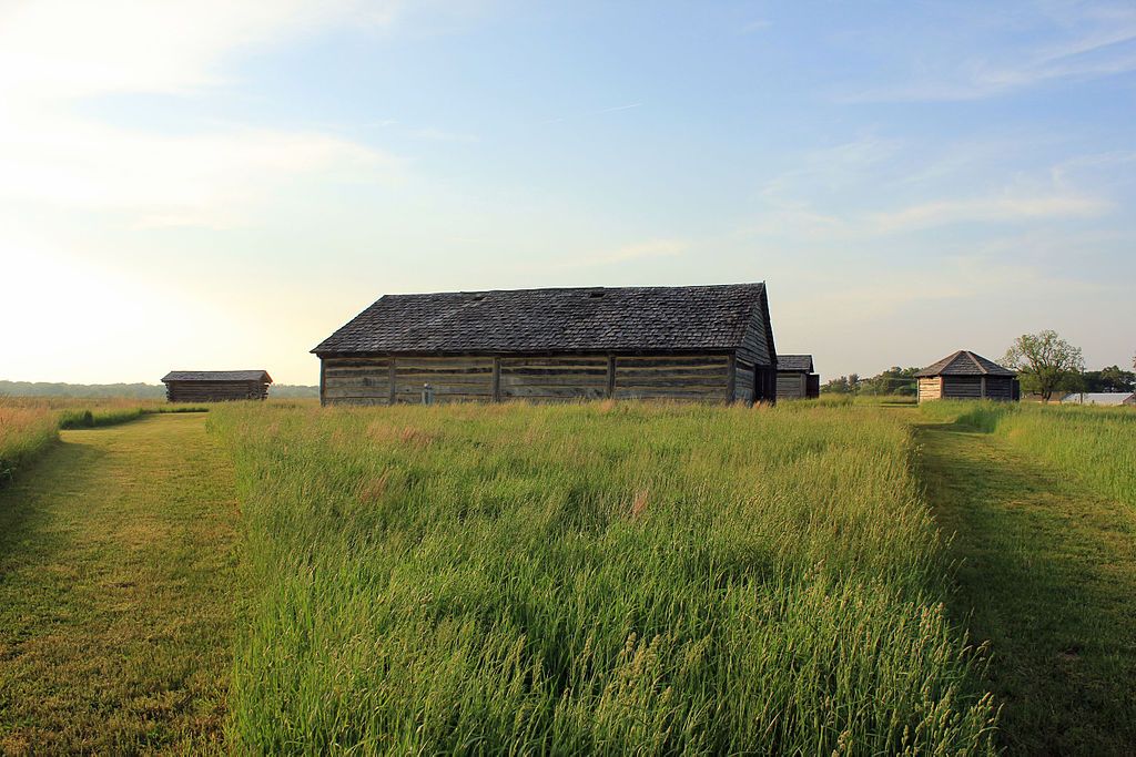 Green Grass at Prophetstown State Park