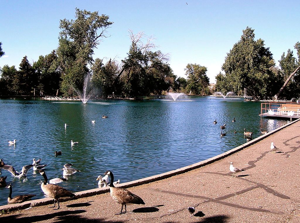 Duck Pond in Gibson Park