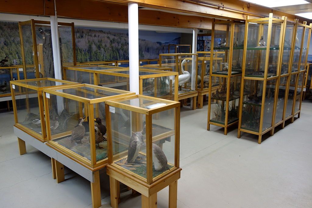 Interior View of Southern Vermont Natural History Museum