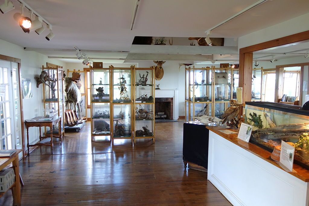 Exhibits Southern Vermont Natural History Museum