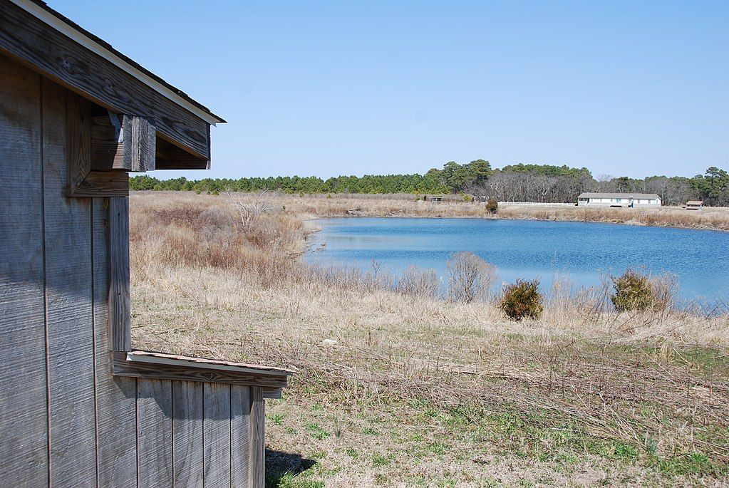 Daytime view of Kiptopeke State Park