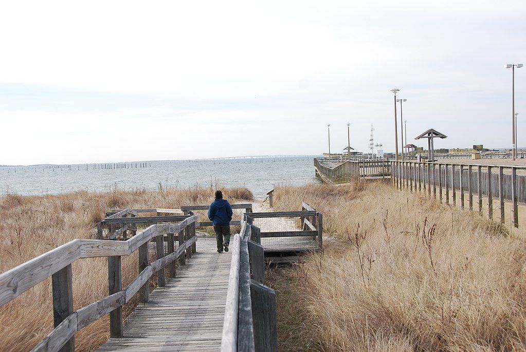 A Man Walking at Kiptopeke State Park's boardwalk