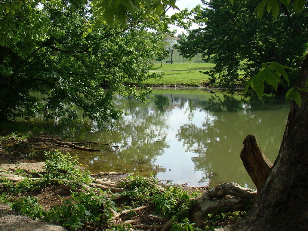 North Fork of Elkhorn Creek