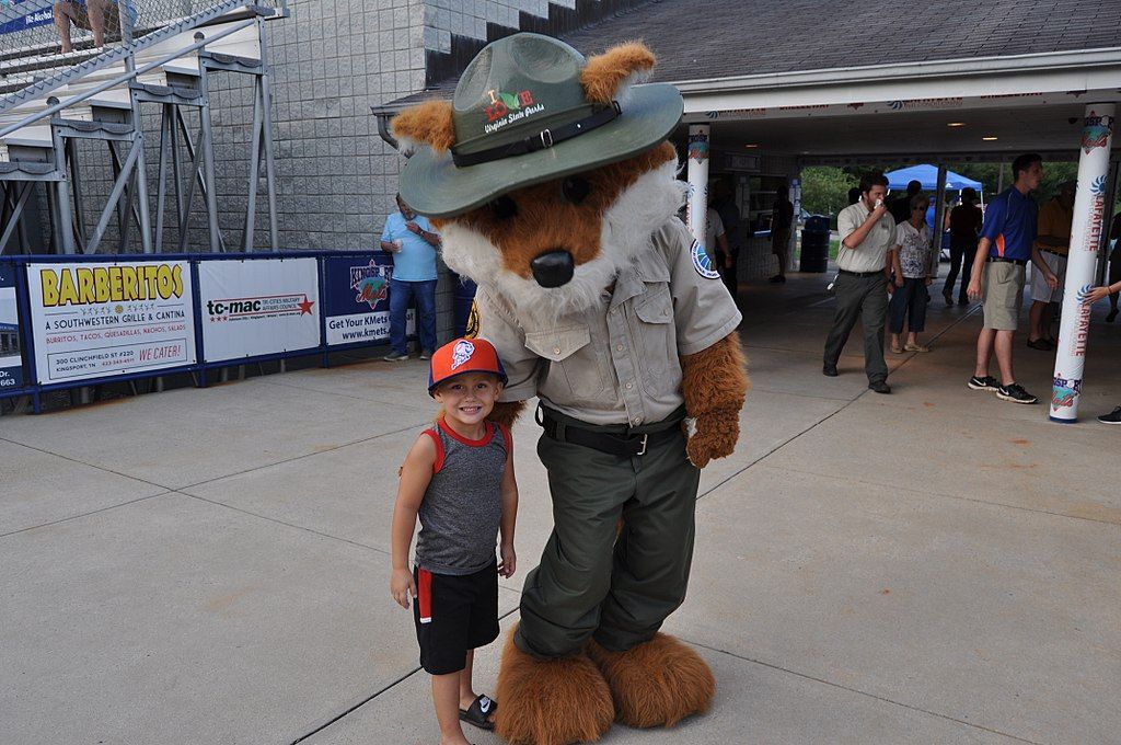 A Kid at the Mets Game