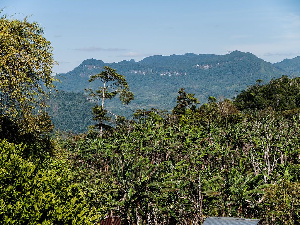 View of Reserva Natural Bosawás