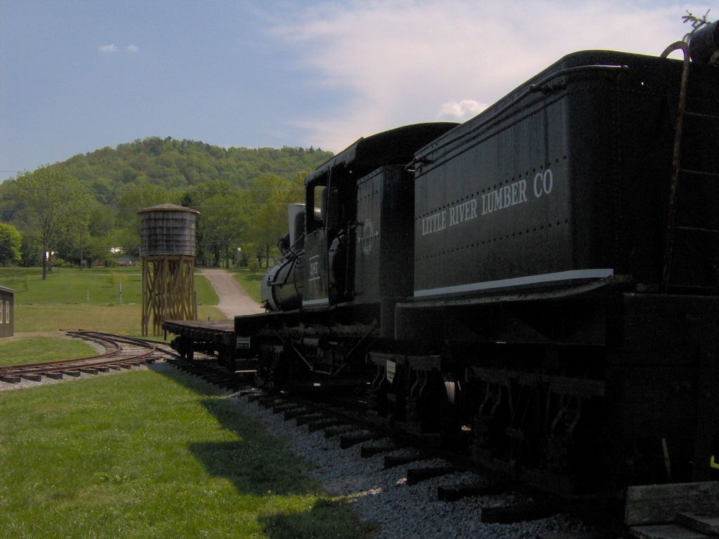 A train in The Little River Railroad and Lumber Company Museum