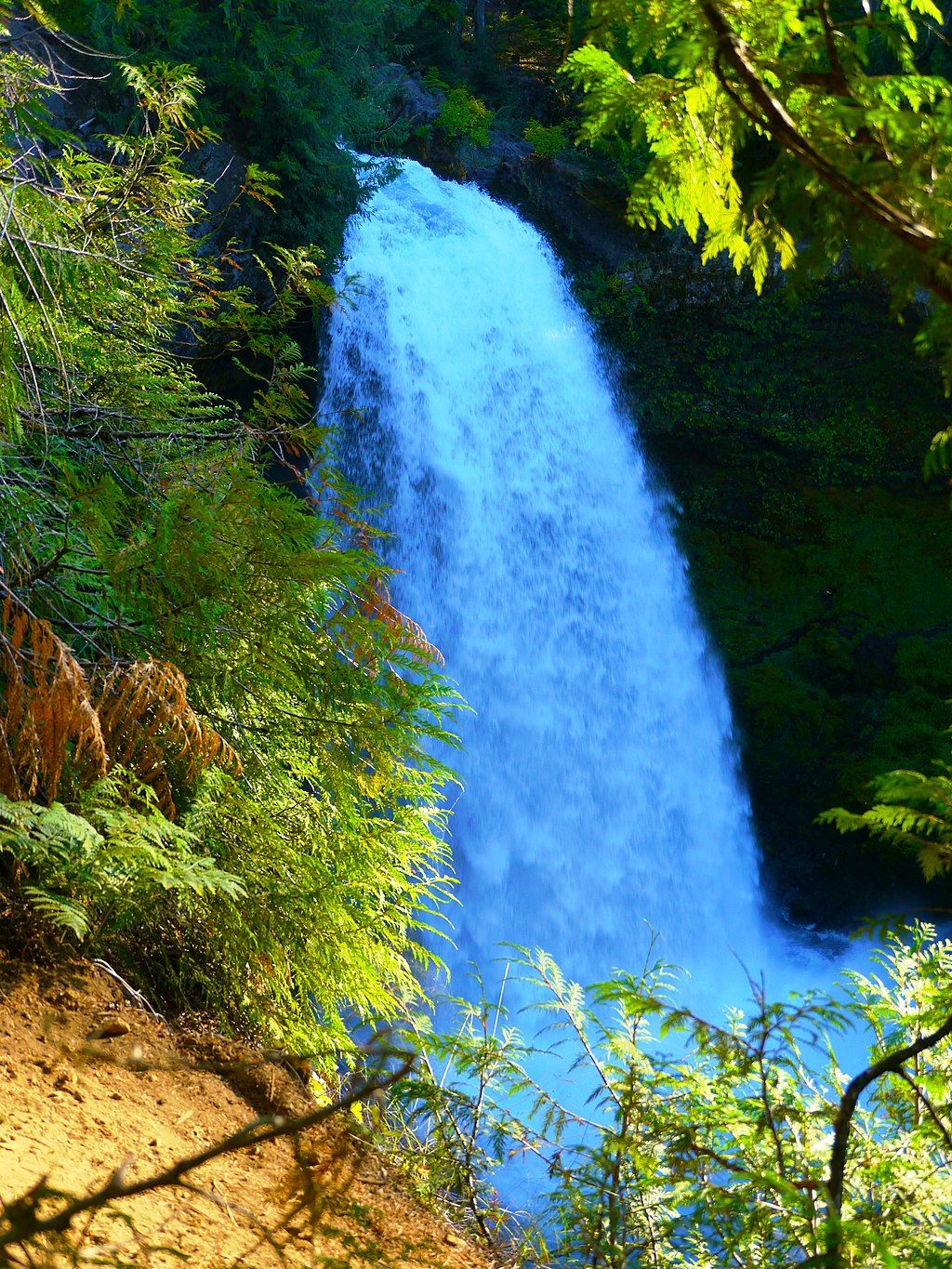 View of Sahalie Falls