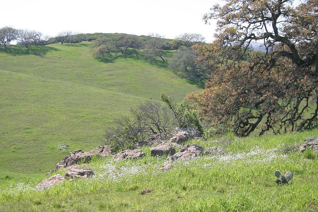 View of Santa Rosa Plateau Ecological Preserve