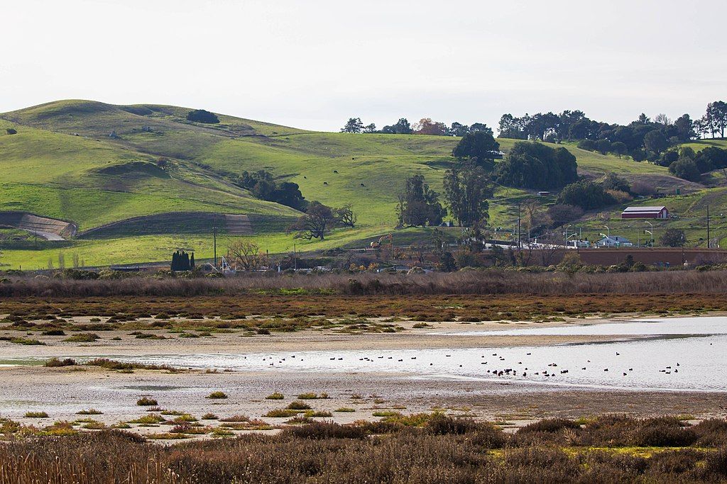 View of Shollenberger Park