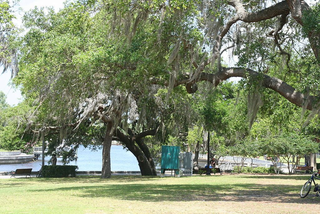 The grounds of Sims Park