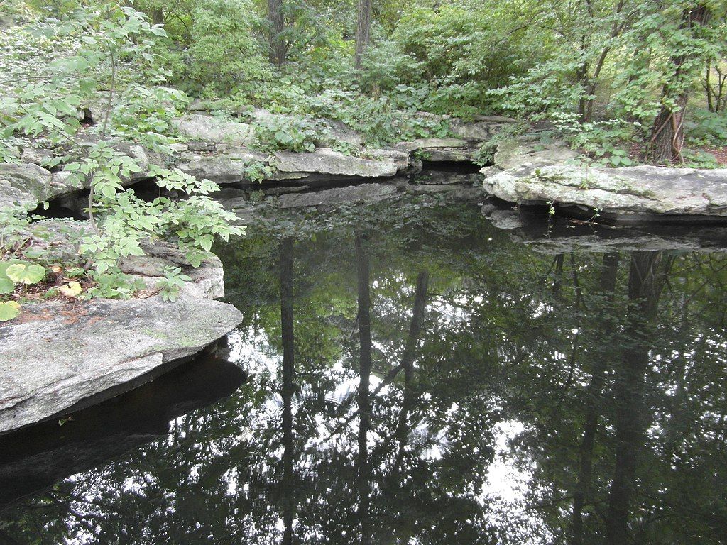 A pond in Stonecrop Gardens.