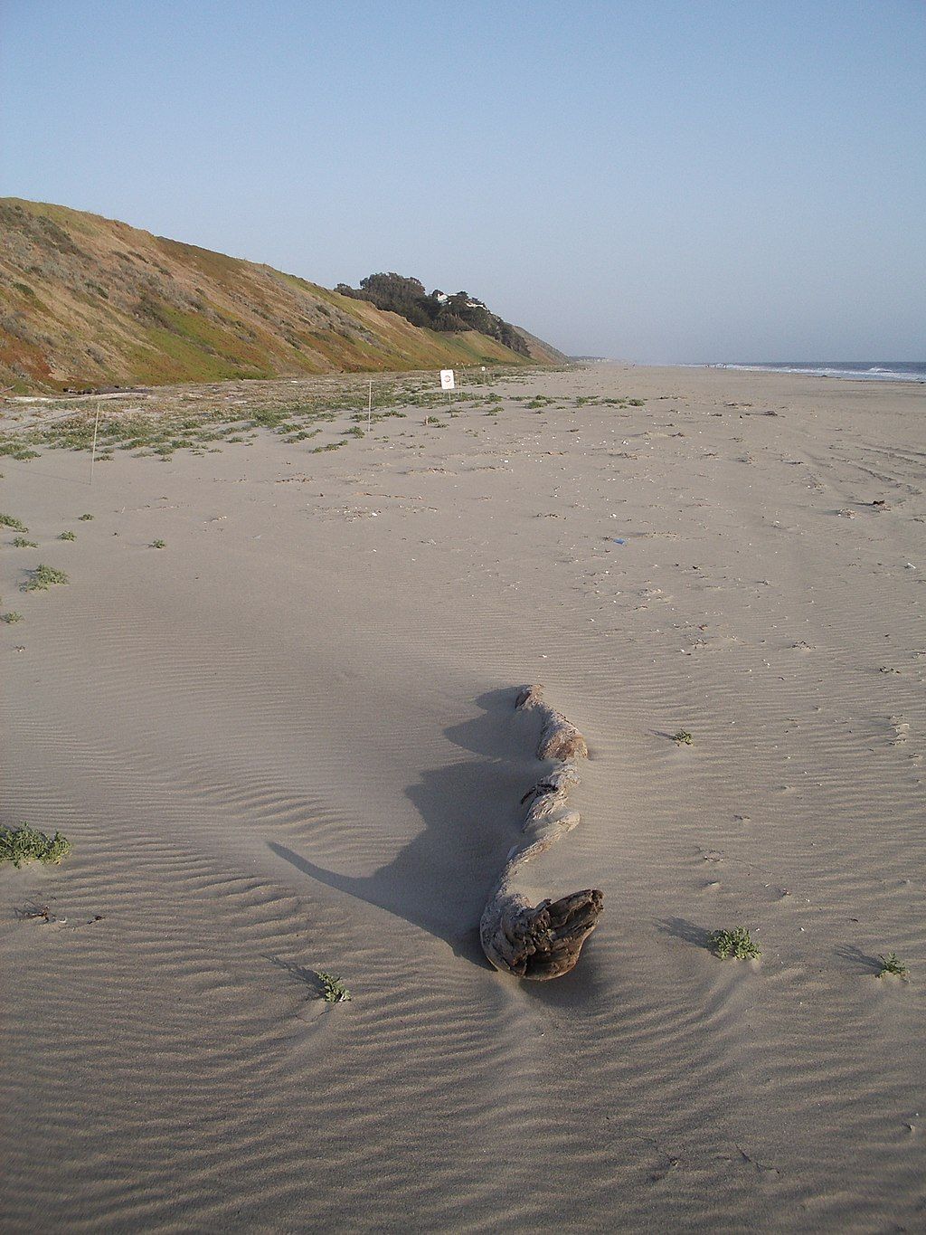 View of Sunset State Beach