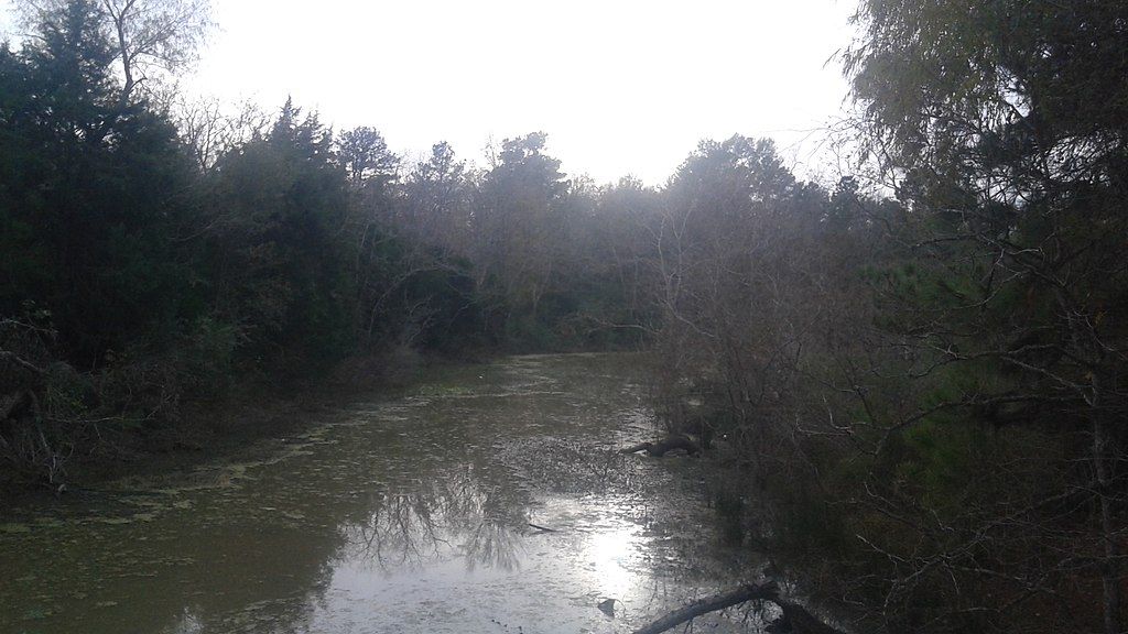 View of Unity Park