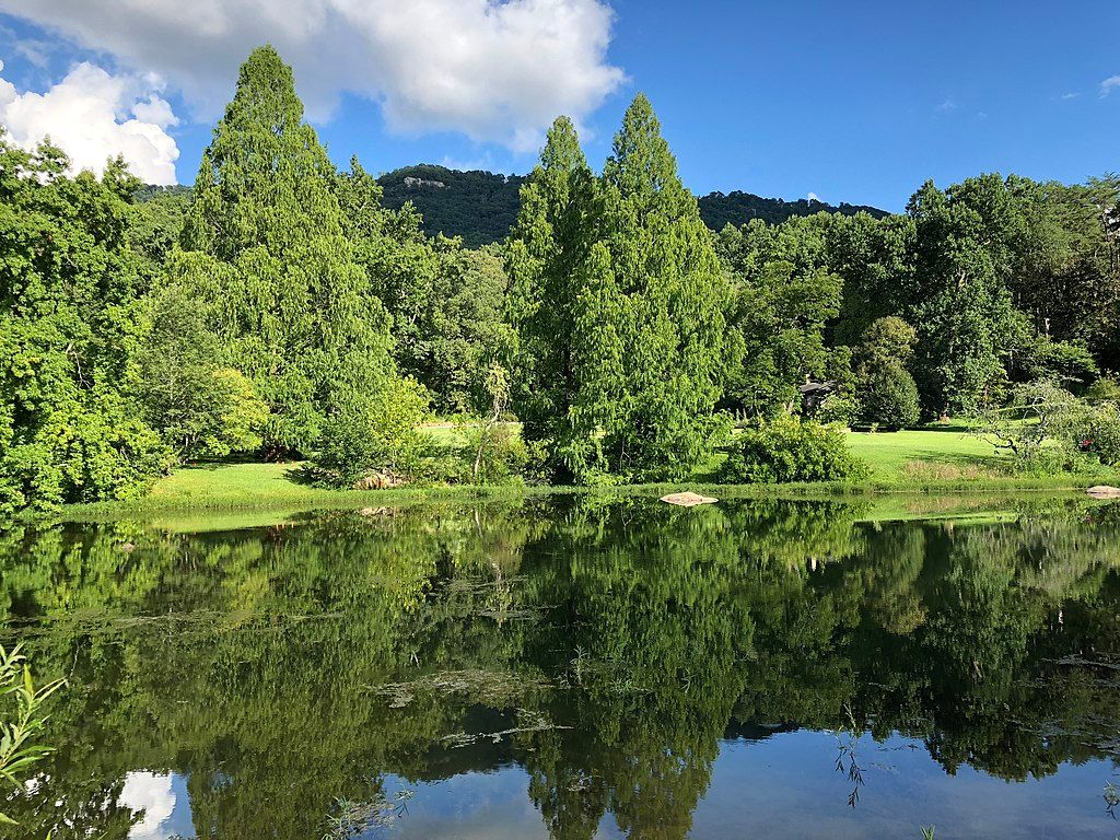 The upper lake at Reflection Riding