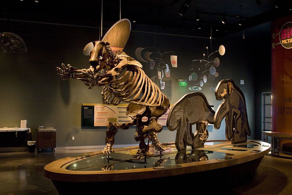 Paramylodon harlani on display at the Western Center for Archaeology & Paleontology in Hemet, California.