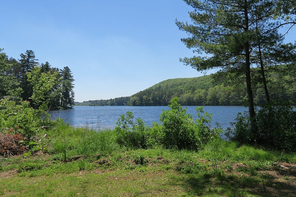 Daytime view of Walker Pond