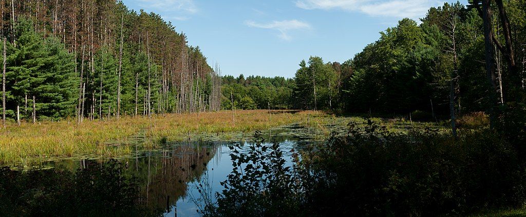 Waters of Wells State Park