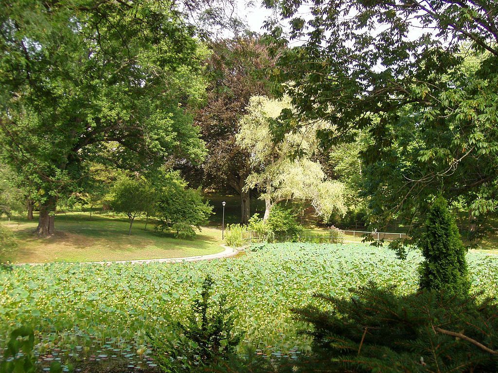 View of Wilcox Park