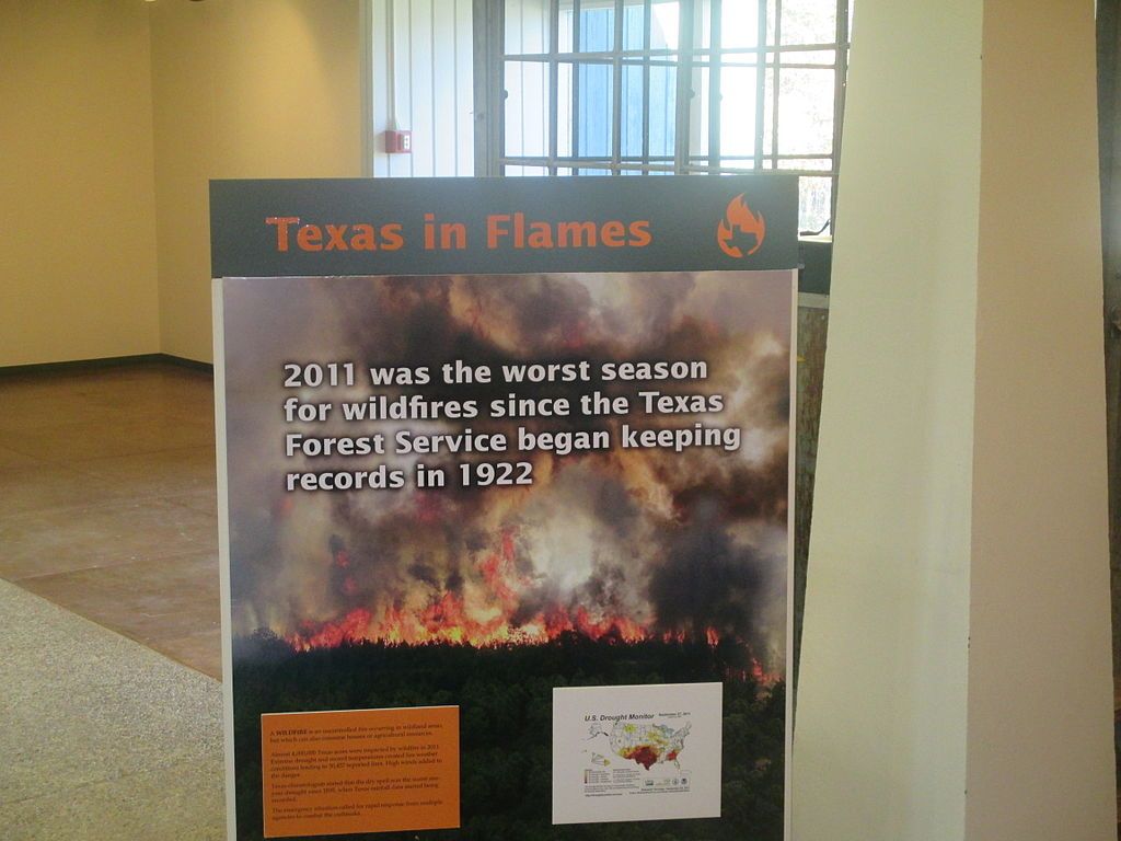 View of Texas Forestry Museum
