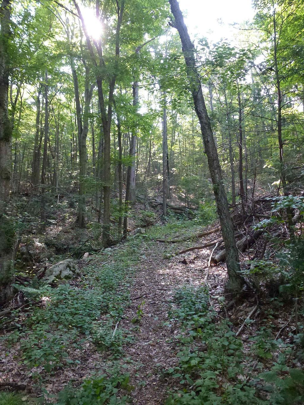 View of Wooster Mountain State Park