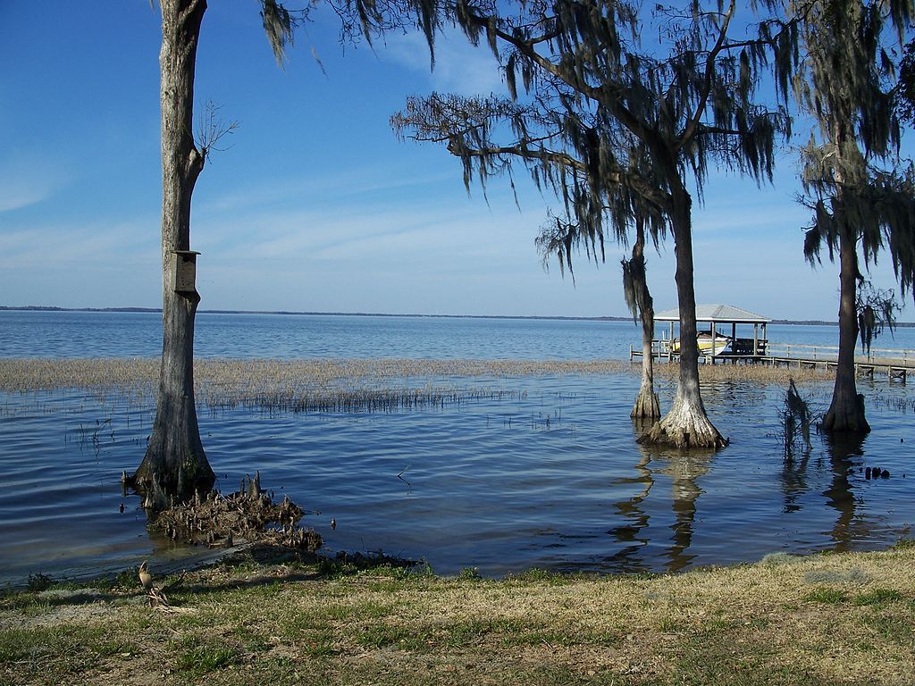 View of the Lake and fishing dock.