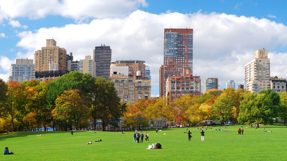 People at Central Park's open space