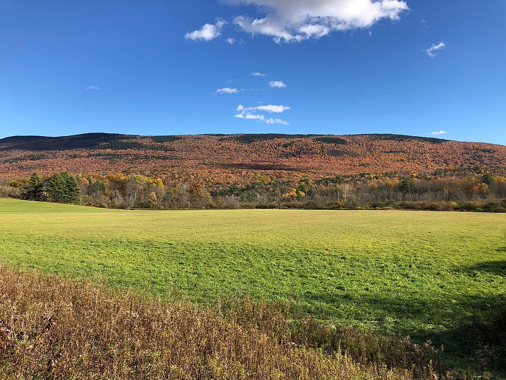 View of Green Mountain National Forest
