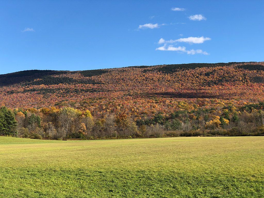 View of Green Mountain National Forest