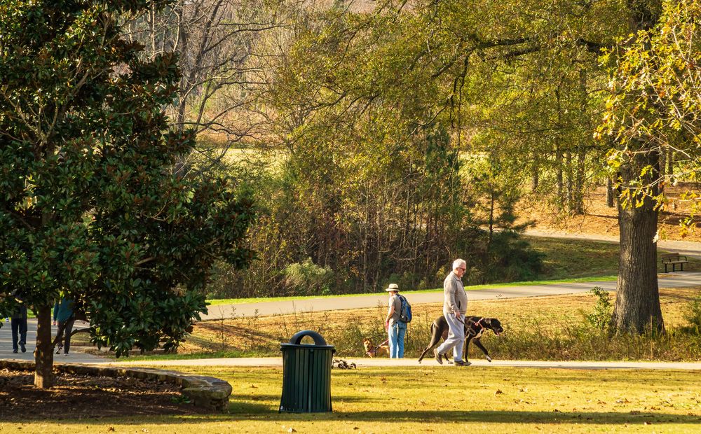 A man walking his dog at E. Carroll Joyner Park.