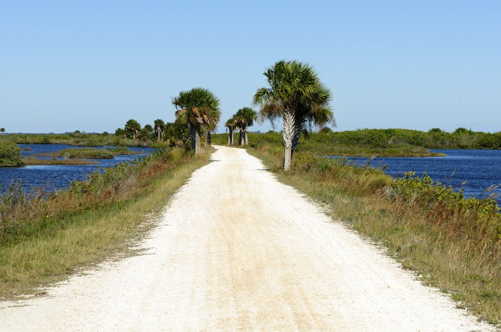 A sand trail at Merritt Island National Wildlife Refuge.