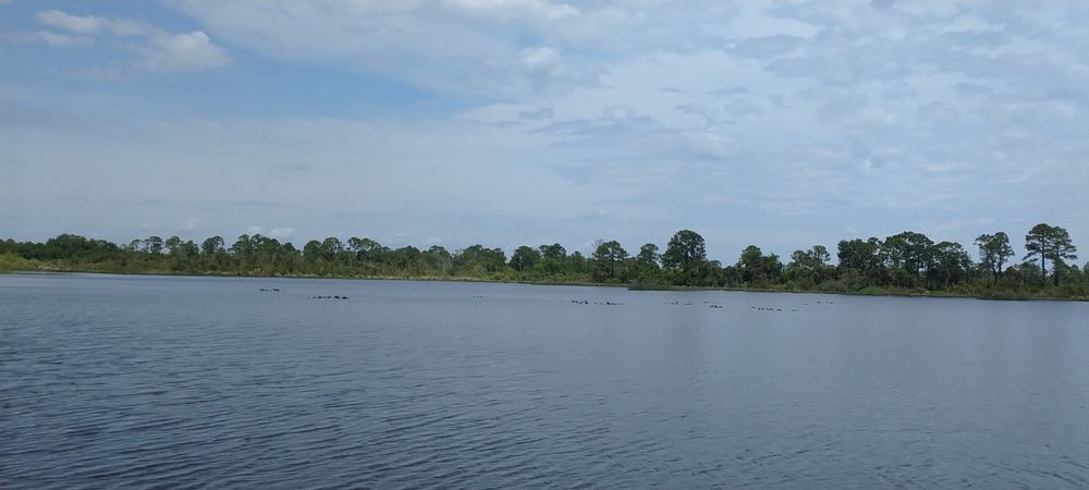 The waters of Fox Lake Park.