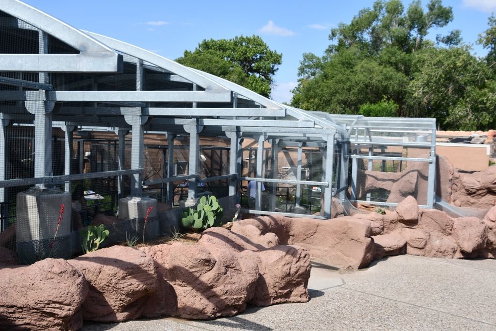 View of ABQ BioPark Zoo