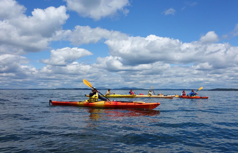 People on kayaks