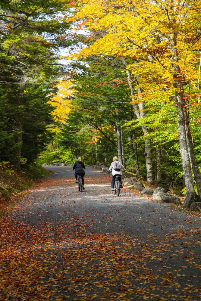 People riding bikes at Acadia National Park