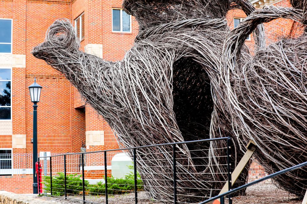 Ackland Art Museum
