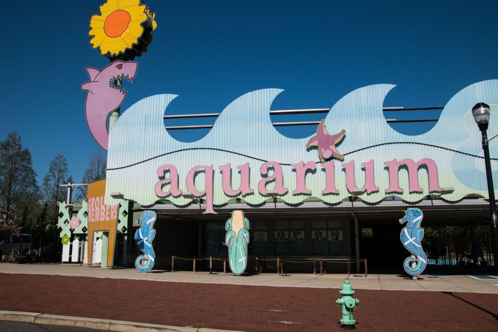 Adventure Aquarium