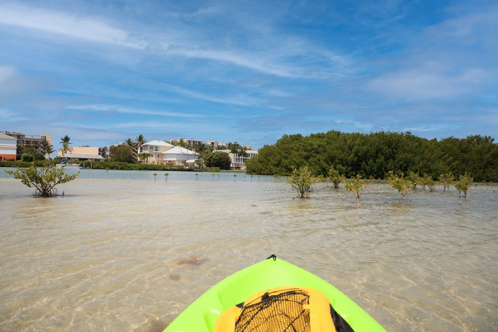 Kayaking in Bonita Springs
