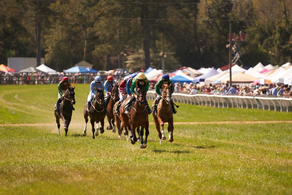 Horse racing at Aiken Steeplechase